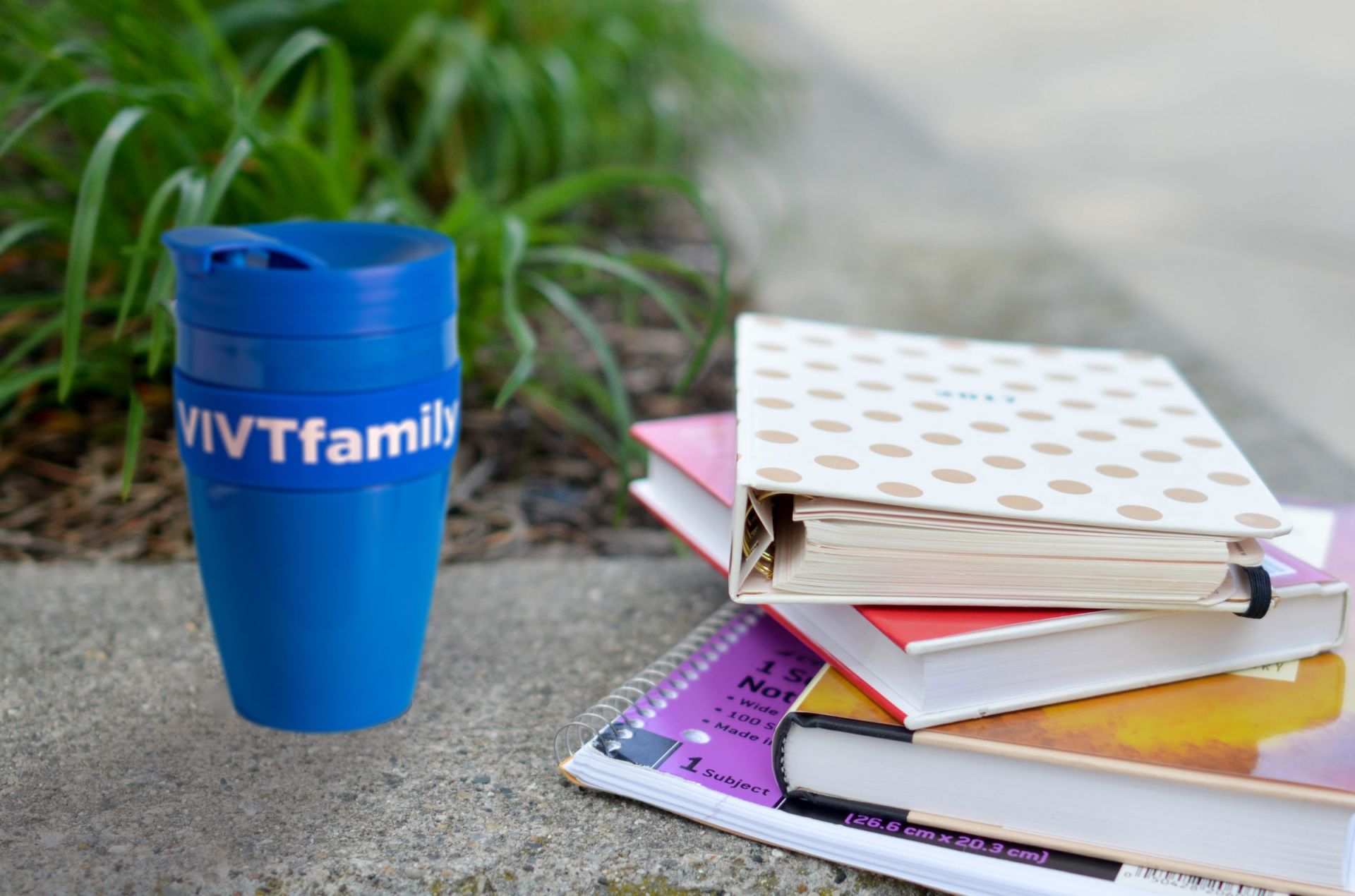 ДЕНЬ ЗНАНИЙ ИЛИ НОВЫЙ ГОД?